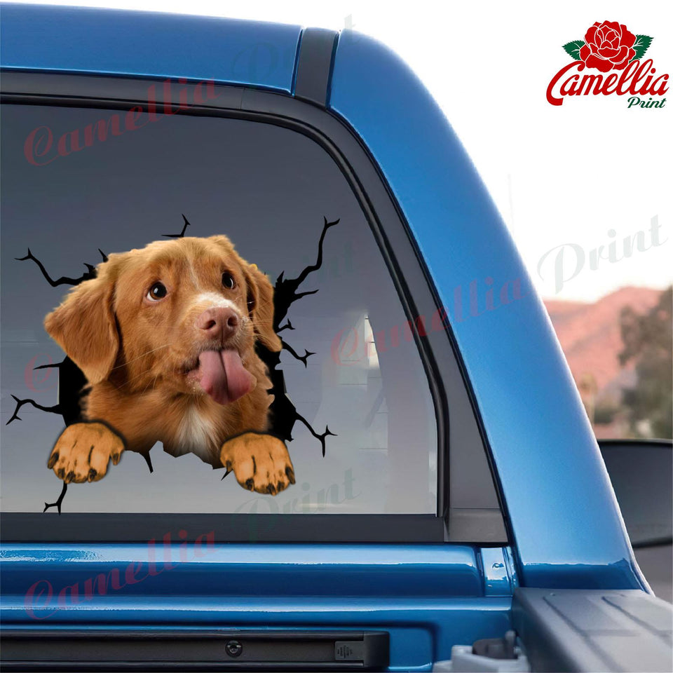 Nova Scotia Duck Tolling Retriever Crack Stickers For Water Bottle Likeable Custom Vinyl Lettering Top Christmas Gifts 2020