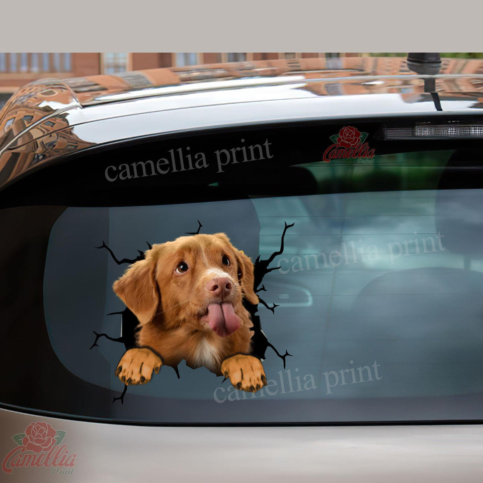 Nova Scotia Duck Tolling Retriever Crack Stickers For Water Bottle Likeable Custom Vinyl Lettering Top Christmas Gifts 2020