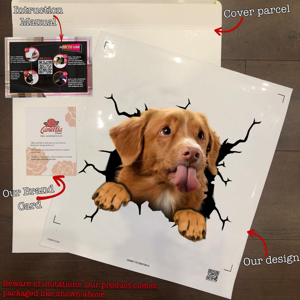 Nova Scotia Duck Tolling Retriever Crack Stickers For Water Bottle Likeable Custom Vinyl Lettering Top Christmas Gifts 2020