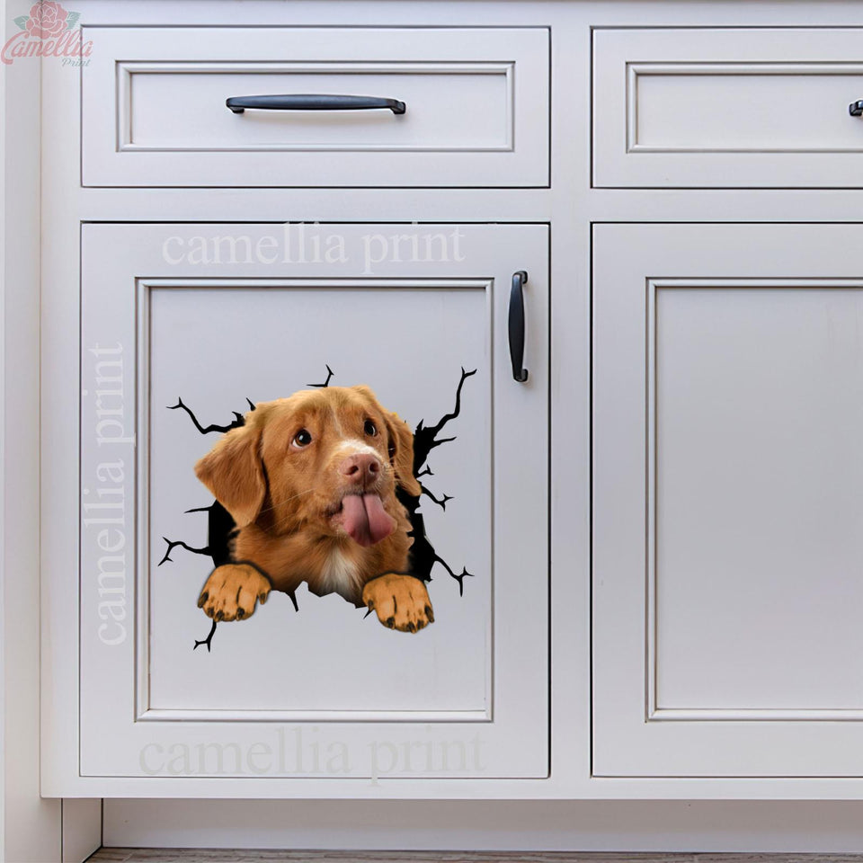 Nova Scotia Duck Tolling Retriever Crack Stickers For Water Bottle Likeable Custom Vinyl Lettering Top Christmas Gifts 2020