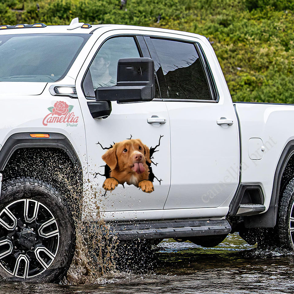 Nova Scotia Duck Tolling Retriever Crack Stickers For Water Bottle Likeable Custom Vinyl Lettering Top Christmas Gifts 2020