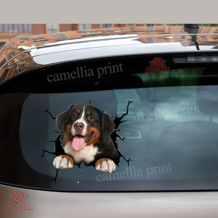 Bernese Mountain Dog Crack Decals For Windows Humor Decals Stickers Craft Kits For Adults