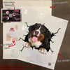 Bernese Mountain Dog Crack Decals For Windows Humor Decals Stickers Craft Kits For Adults