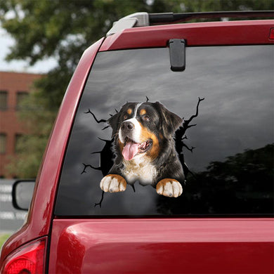 [dt0286-snf-tnt]-bernese-mountain-dog-crack-car-sticker-dogs-lover