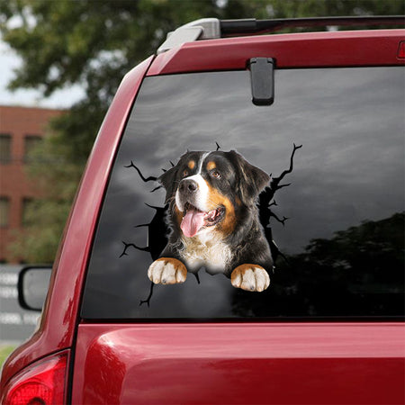 [dt0286-snf-tnt]-bernese-mountain-dog-crack-car-sticker-dogs-lover
