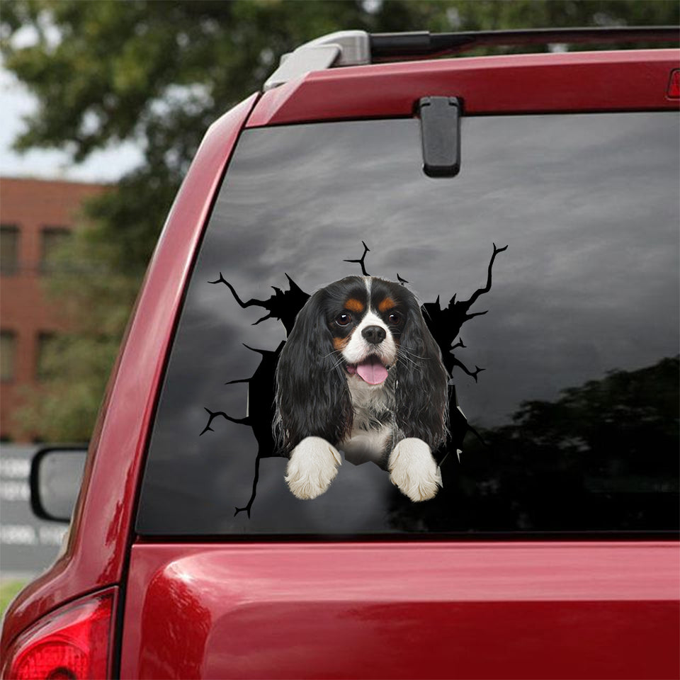 [dt0346-snf-tnt]-cavalier-king-charles-spaniel-crack-car-sticker-dogs-lover