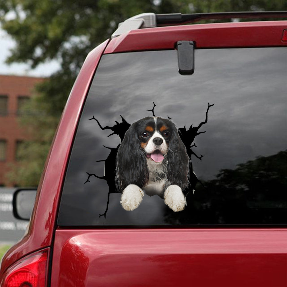 [dt0346-snf-tnt]-cavalier-king-charles-spaniel-crack-car-sticker-dogs-lover