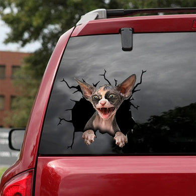 [dt0381-snf-tnt]-sphynx-cat-crack-car-sticker-cats-lover
