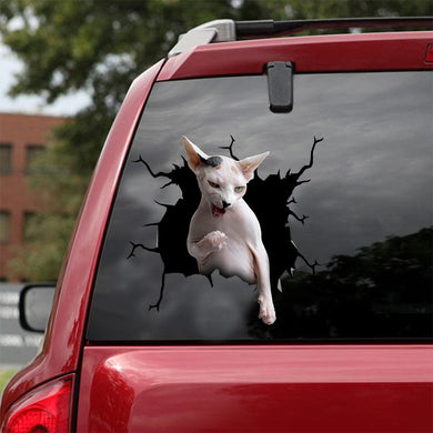 [dt0387-snf-tnt]-sphynx-cat-crack-car-sticker-cats-lover