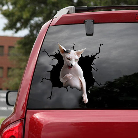 [dt0387-snf-tnt]-sphynx-cat-crack-car-sticker-cats-lover