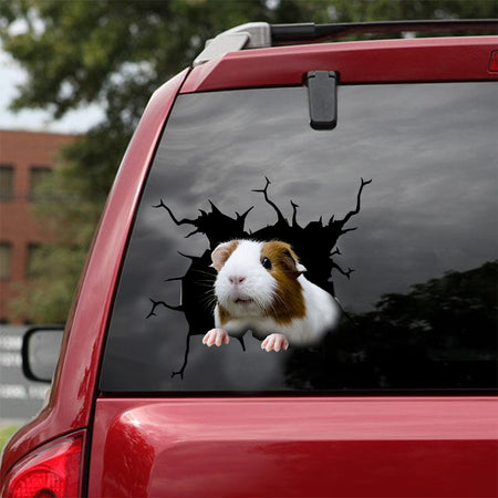Guinea Pig Crack Stickers For Water Bottle Be Cute Vinyl Graphics 30th Birthday Gift Ideas