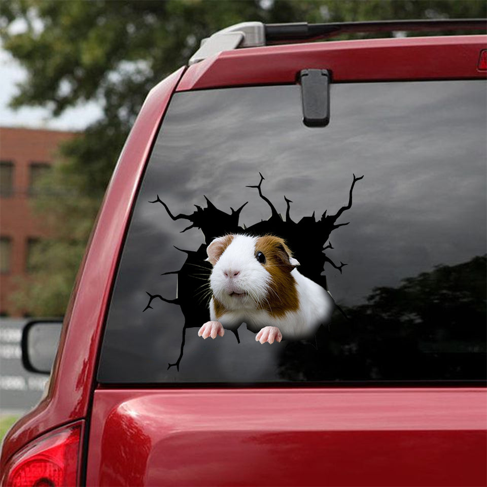 [dt0404-snf-tnt]-guinea-pig-crack-car-sticker-mice-lover