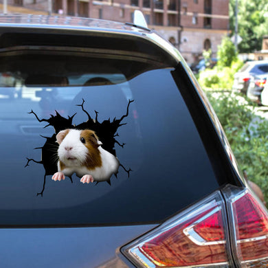 Guinea Pig Crack Stickers For Water Bottle Be Cute Vinyl Graphics 30th Birthday Gift Ideas