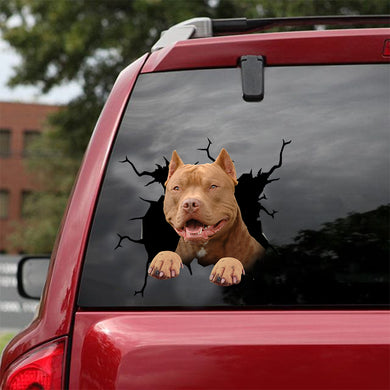[dt0516-snf-tnt]-american-pitbull-terrier-crack-car-sticker-dogs-lover