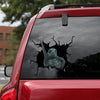 [dt0533-snf-tnt]-turtle-crack-car-sticker-turtles-lover
