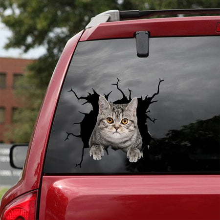 [dt0545-snf-tnt]-british-shorthair-cat-crack-car-sticker-cats-lover