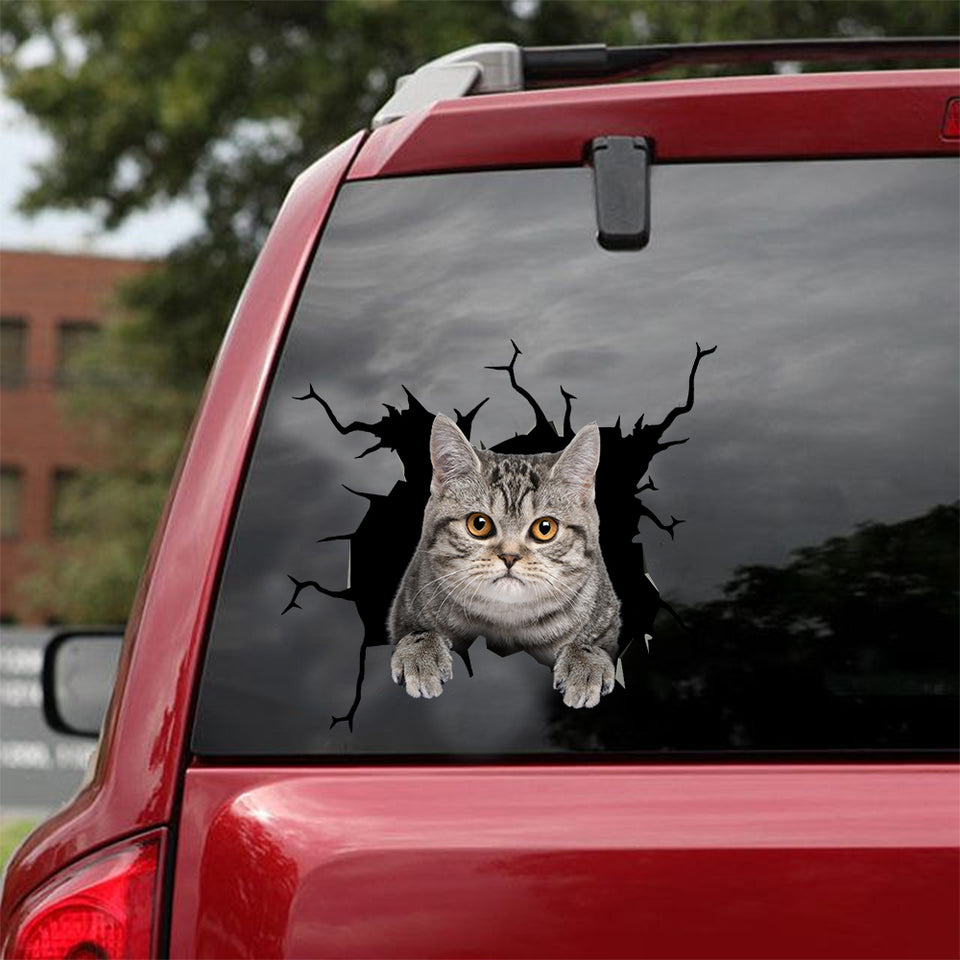 [dt0545-snf-tnt]-british-shorthair-cat-crack-car-sticker-cats-lover