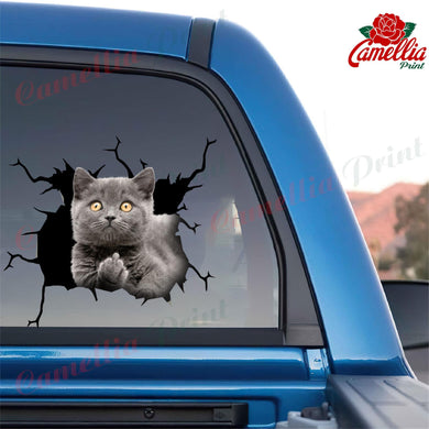 British Shorthair Cat Crack Bone Sticker Humor Transfer Stickers Birthday Gifts For Best Friend