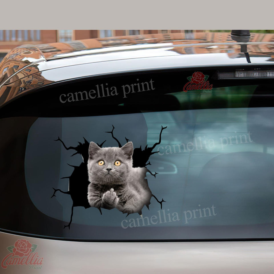British Shorthair Cat Crack Bone Sticker Humor Transfer Stickers Birthday Gifts For Best Friend