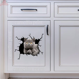 British Shorthair Cat Crack Bone Sticker Humor Transfer Stickers Birthday Gifts For Best Friend