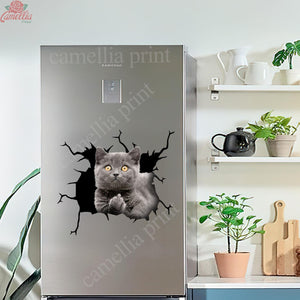 British Shorthair Cat Crack Bone Sticker Humor Transfer Stickers Birthday Gifts For Best Friend