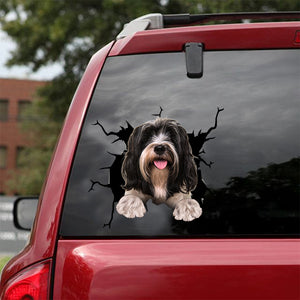 [dt0693-snf-tnt]-tibetan-terrier-crack-car-sticker-dog-lovers