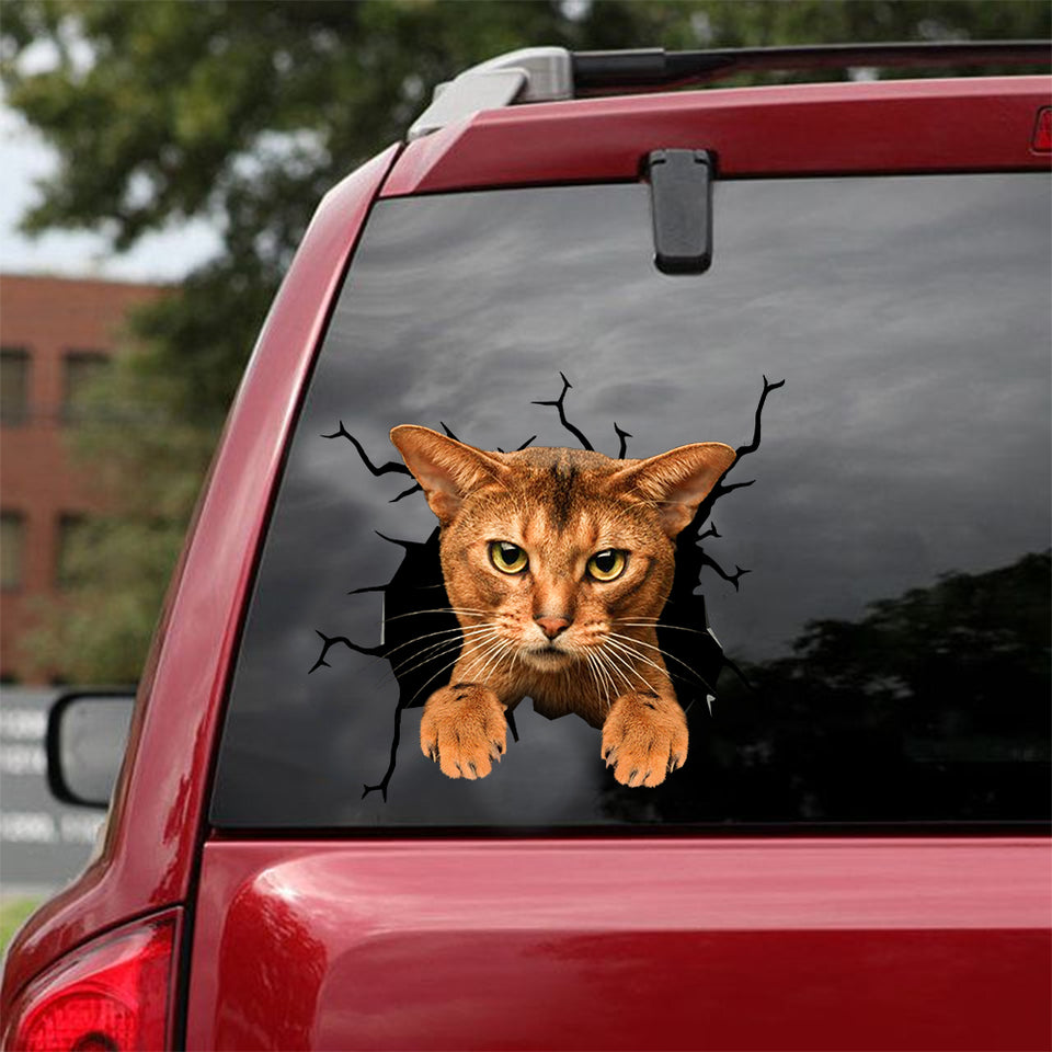 [dt0738-snf-tnt]-abyssinian-cat-crack-car-sticker-cat-lovers