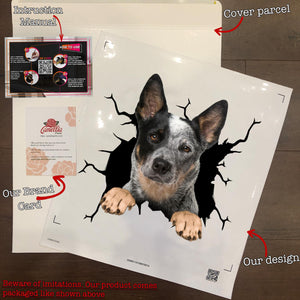 Australian Cattle Dog Crack Sticker Sheets Kawaii Name Tag Stickers Gift Ideas For Husband