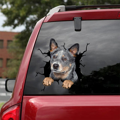 [dt0777-snf-tnt]-australian-cattle-dog-crack-car-sticker-dog-lovers