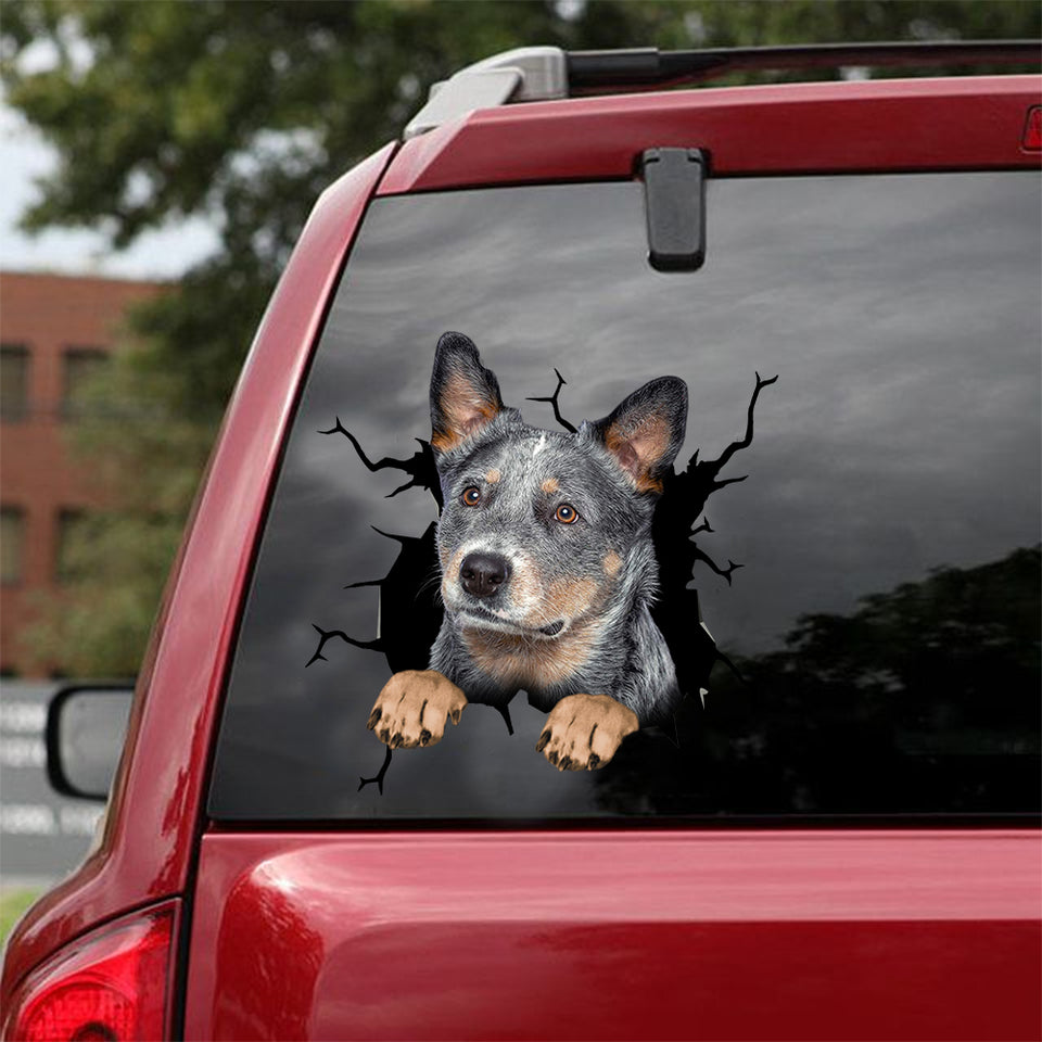 [dt0777-snf-tnt]-australian-cattle-dog-crack-car-sticker-dog-lovers