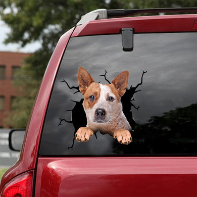 [dt0781-snf-tnt]-australian-cattle-dog-crack-car-sticker-dog-lovers