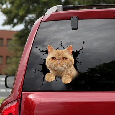 [dt0865-snf-tnt]-exotic-cat-crack-car-sticker-cat-lovers