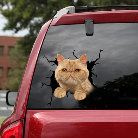 [dt0865-snf-tnt]-exotic-cat-crack-car-sticker-cat-lovers