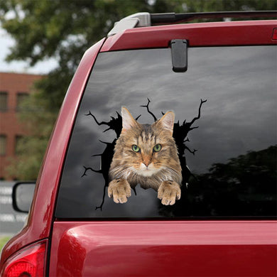 [dt0941-snf-tnt]-norwegian-forest-cat-crack-car-sticker-cat-lovers