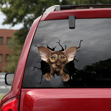 [dt0951-snf-tnt]-oriental-shorthair-cat-crack-car-sticker-cat-lovers