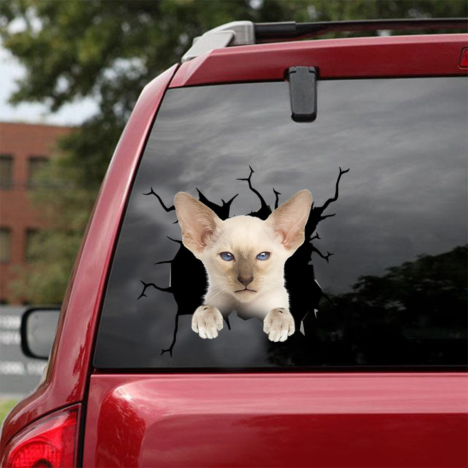 [dt0954-snf-tnt]-oriental-shorthair-cat-crack-car-sticker-cat-lovers
