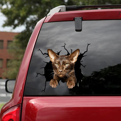 [dt0957-snf-tnt]-oriental-shorthair-cat-crack-car-sticker-cat-lovers