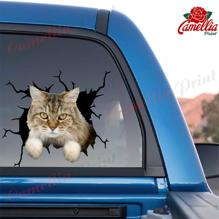 Ragamuffin Cat Crack Stickers For Scrapbooking Funny Wall Decor Floor Stickers Gifts For Hunters