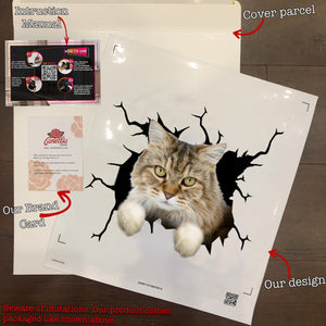 Ragamuffin Cat Crack Stickers For Scrapbooking Funny Wall Decor Floor Stickers Gifts For Hunters