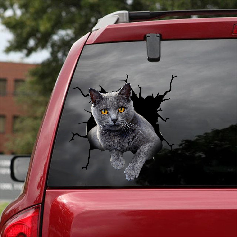 [dt0968-snf-tnt]-russian-blue-cat-crack-car-sticker-cat-lovers