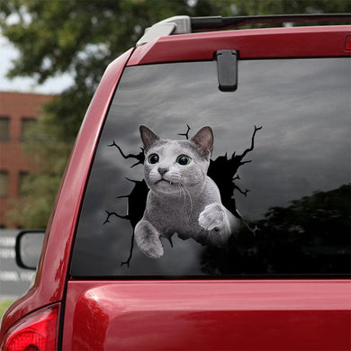 [dt0970-snf-tnt]-russian-blue-cat-crack-car-sticker-cat-lovers
