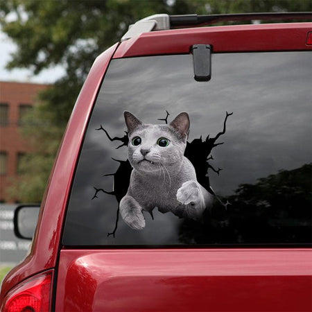 [dt0970-snf-tnt]-russian-blue-cat-crack-car-sticker-cat-lovers