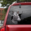 [dt0970-snf-tnt]-russian-blue-cat-crack-car-sticker-cat-lovers