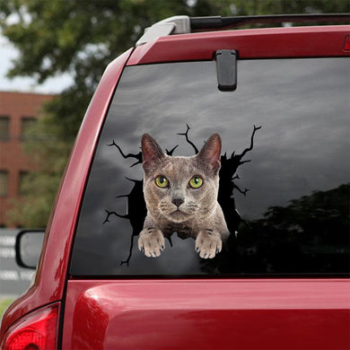 [dt0971-snf-tnt]-russian-blue-cat-crack-car-sticker-cat-lovers