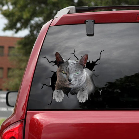[dt0975-snf-tnt]-russian-blue-cat-crack-car-sticker-cat-lovers