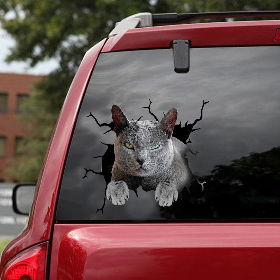 [dt0975-snf-tnt]-russian-blue-cat-crack-car-sticker-cat-lovers