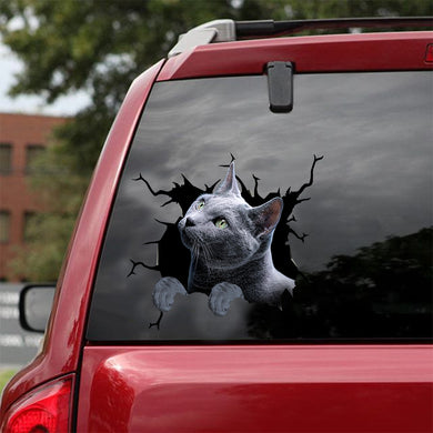 [dt0976-snf-tnt]-russian-blue-cat-crack-car-sticker-cat-lovers