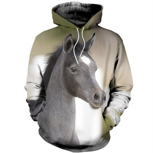3D printed Horse Clothes DT170806