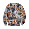 3D All Over Printed Dogs Shirts And Shorts DT23081915