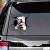 Tell Your Dogs I Said Hi Bull Dogs Vinyls Car Decals Window Decals Car Gift For Car Dogs Decals Lover